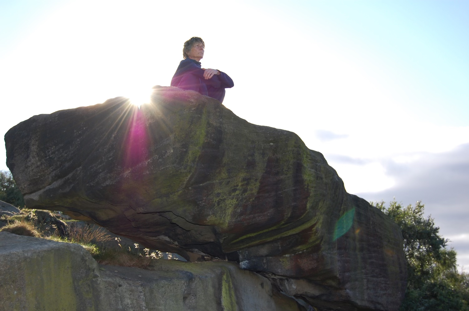 Jasmine Sitting On A Rock